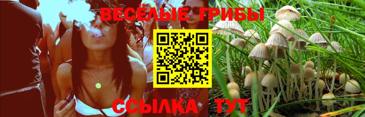 Тельмана  Псилоцибиновые грибы мухоморы  Галлюциногенные грибы GOLDEN TEACHER  Вход с VPN 
