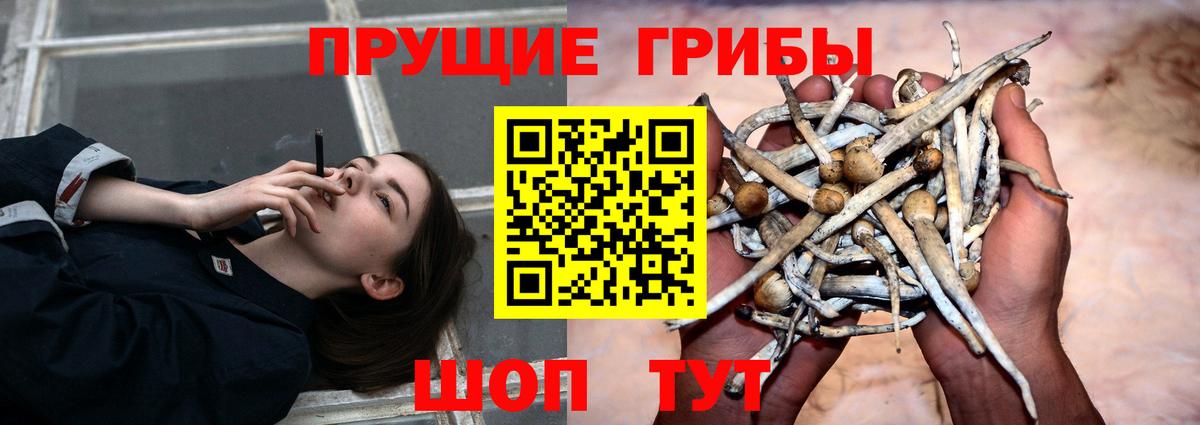 Псилоцибиновые грибы ЛСД Тельмана